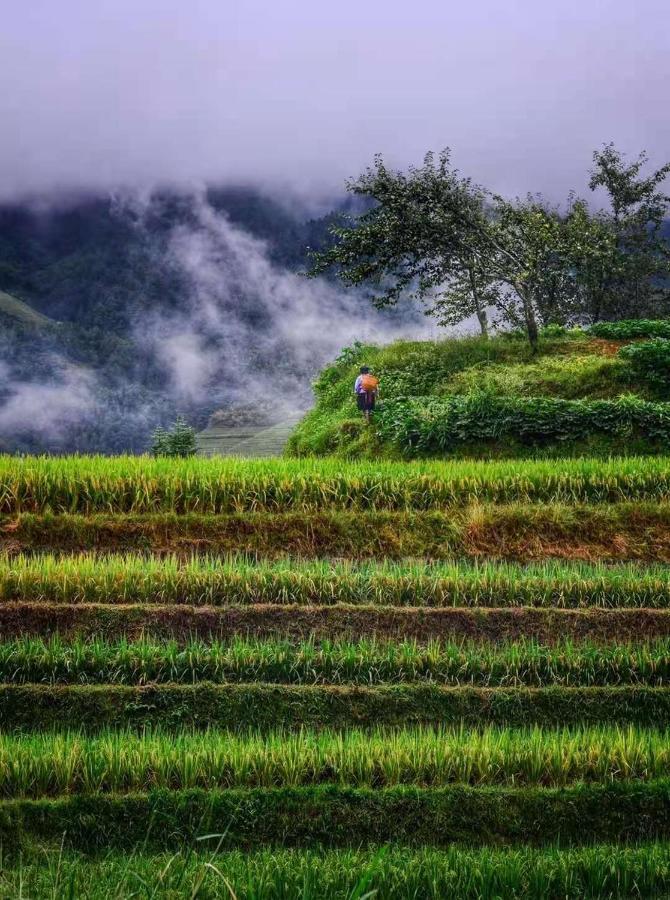 Longji Terrace La Vie Inn Longsheng Eksteriør bilde