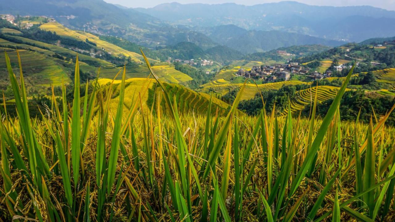Longji Terrace La Vie Inn Longsheng Eksteriør bilde