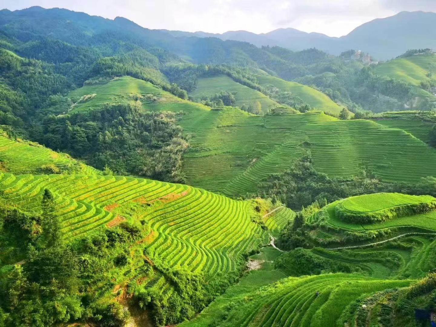 Longji Terrace La Vie Inn Longsheng Eksteriør bilde